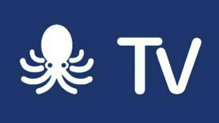 como instalar octostream